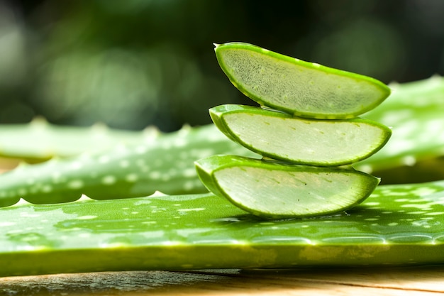 aloe vera slice