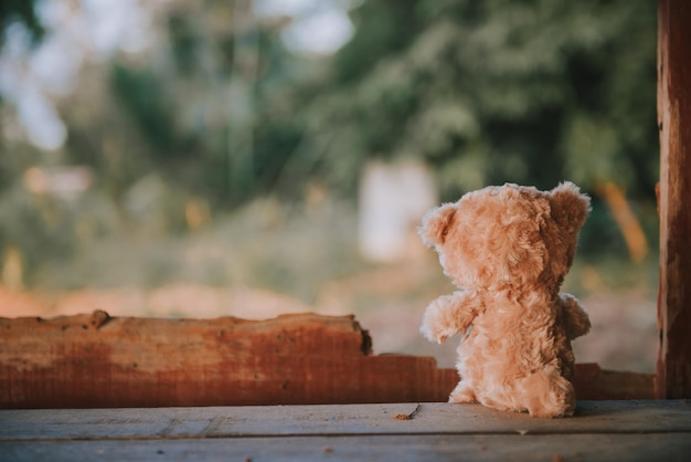 Photo alone teddy bear out door vintage dark tone style