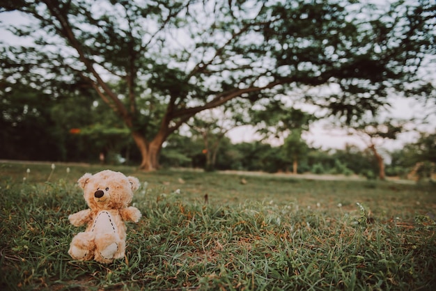 Photo alone teddy bear out door vintage dark tone style