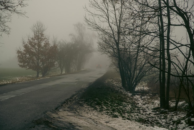 Along the meadows there is a road with fog