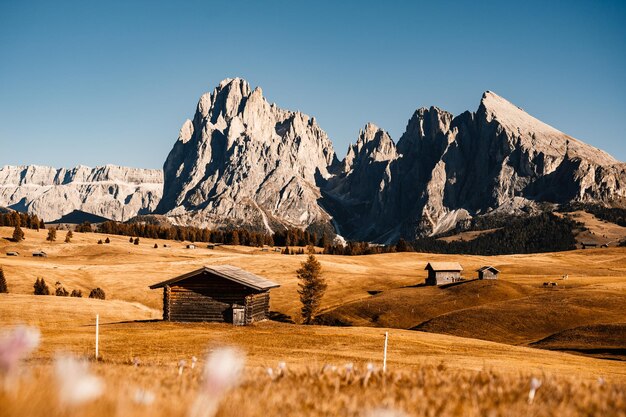 Photo alpe di siusi seiser alm langkofel mountain group landscape of alpine red autumn alpe di siusi hiking nature scenery in dolomites wooden chalets in dolomites trentino alto adige