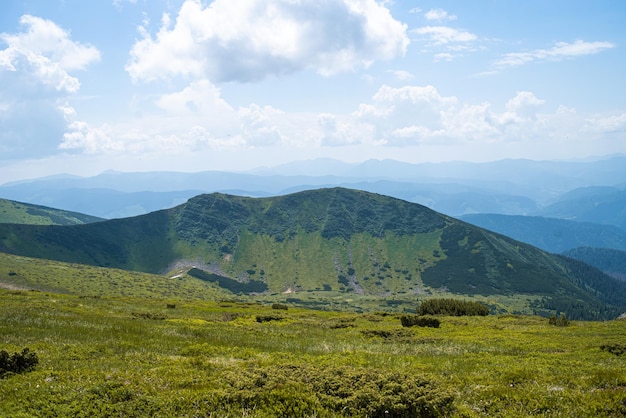 Alpine meadow landscape in summer