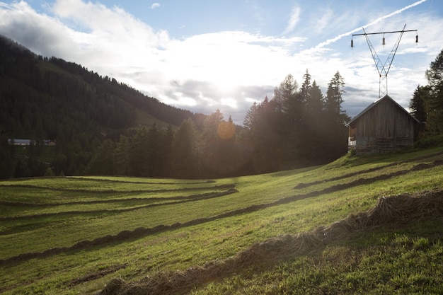 Alpine meadows at sunset