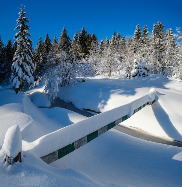 Alpine mountain snowy winter fir forest with snowdrifts and frozen small stream