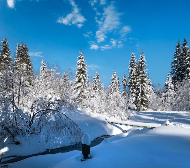 Alpine mountain snowy winter fir forest with snowdrifts and frozen small stream