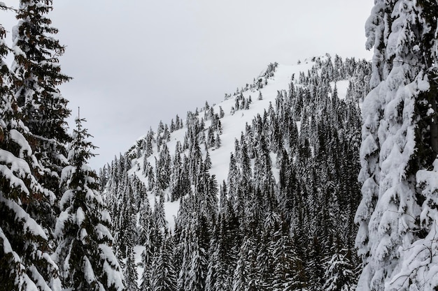 Alpine mountains landscape with white snow and gray sky