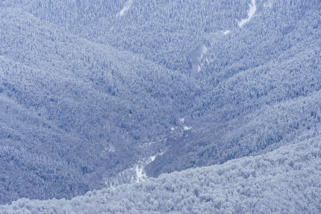 Alpine ski resort in Krasnodar Krai, Russia, located at the Aibga Ridge of the Western Caucasus along the Roza Khutor plateau near Krasnaya Polyana.