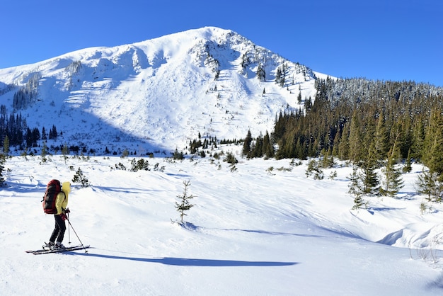 Alpine touring skier in winter mountains. Carpathians, Ukraine.