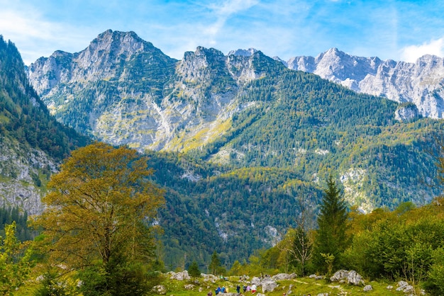 Alps mountains covered with forest Koenigssee Konigsee Berchtesgaden National Park Bavaria Germany