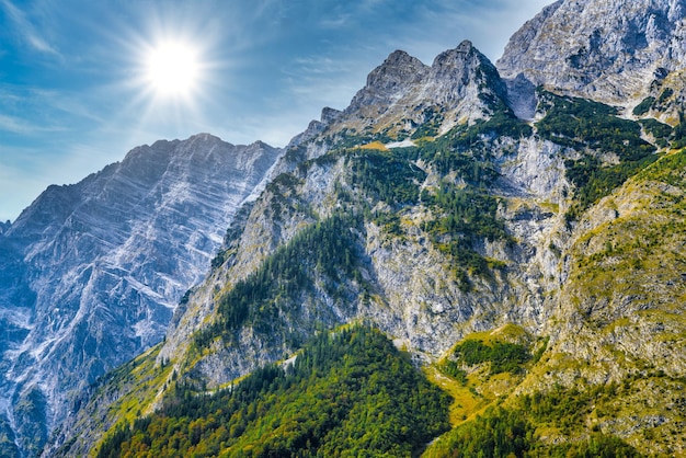 Alps mountains covered with forest Koenigssee Konigsee Berchtesgaden National Park Bavaria Germany