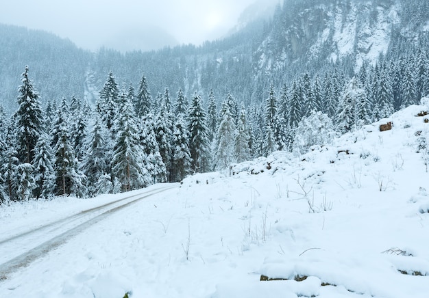 Alps overcast winter mountain landscape with country road and snowfall (Austria, Tirol).