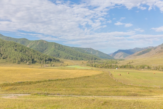 Altai, Altay Mountains, are a mountain range in Central and East Asia