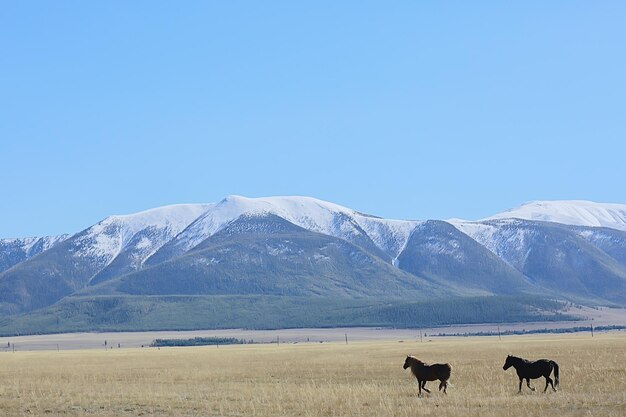 Altai mountain landscape mountains background view panorama