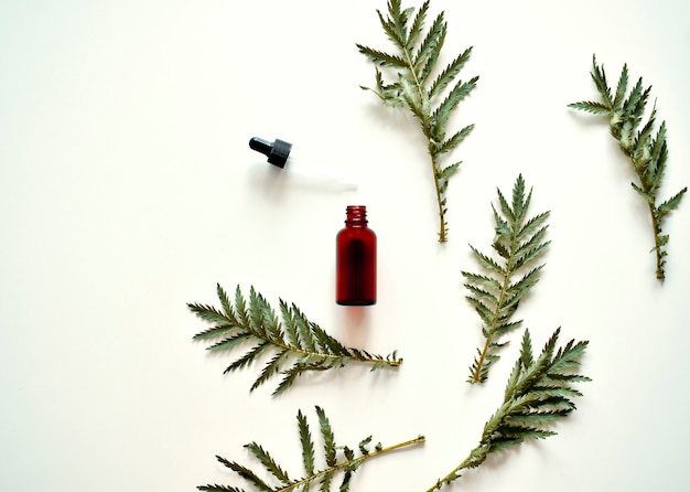 Alternative medicine. Leaves of medicinal herbs, a bottle on a white background.