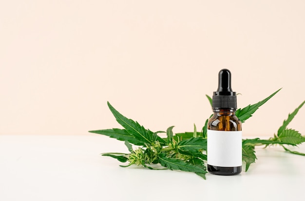 Alternative medicine, natural cosmetics. cbd oil and cannabis leaves cosmetics front view on orange background, copy space