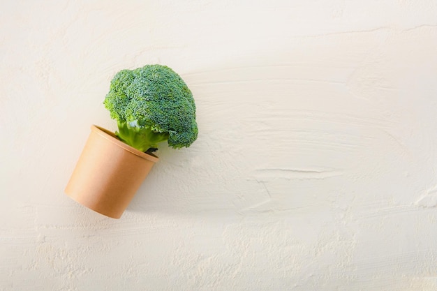 An alternative view of food Natural broccoli in a paper ecofriendly glass on a white textured background Creative conceptual and colorful collage