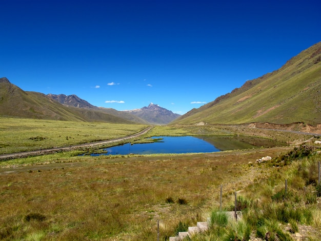 Altiplano in Andes, Peru, South America