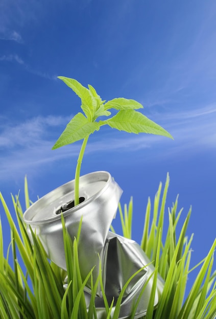 Aluminum can with growing plant on the green grass