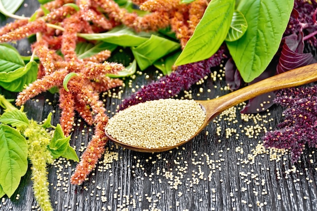 Amaranth groats in a spoon, red, burgundy and green inflorescences with leaves on a wooden board background