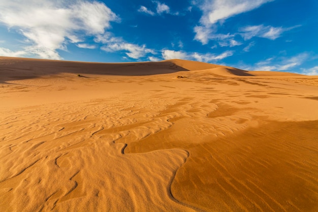 Amazing abstract patterns on the sand of the Gobi desert Mongolia