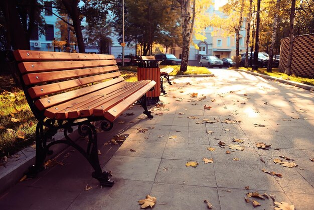 amazing autumn landscape in the city park