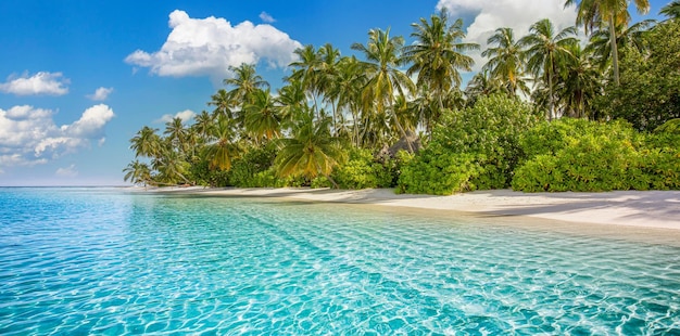 Amazing beach nature. Palm beach in tropical idyllic paradise island. Exotic dream landscape