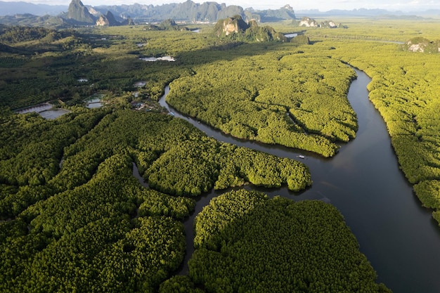 Amazing beautiful natural scenery of landscape view in Asia tropical mangrove forest mountains background aerial view drone shot High angle view