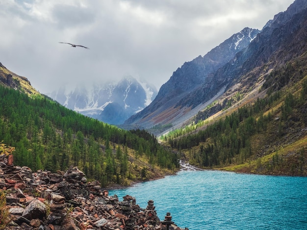 Amazing clear mountain lake in forest among fir trees in dramati