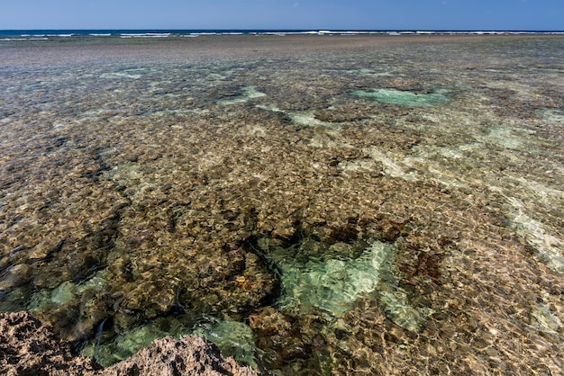 Amazing crystal clear sea water natural pool formed between corals rocks sunny day