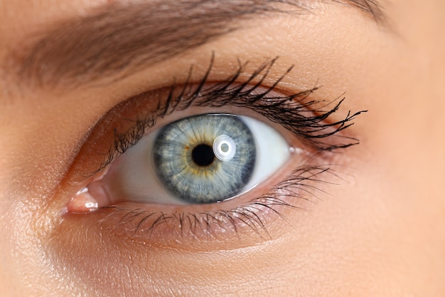 Amazing female blue and green colored wide opened eye close-up