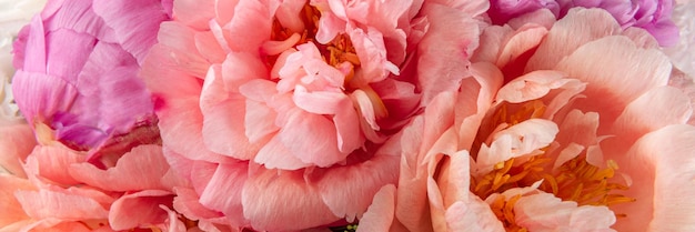 Amazing Fresh bunch of pink peonies