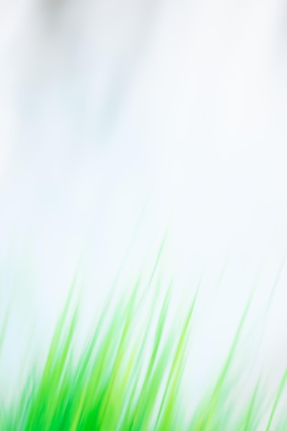 Amazing green plants blurred greenery background Blurred defocused background