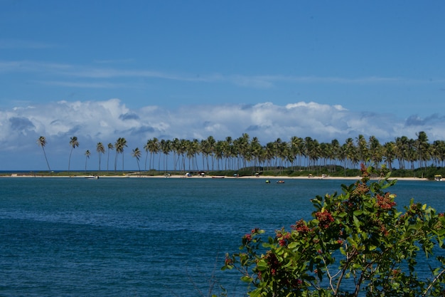 Amazing landscape of the piece of beach