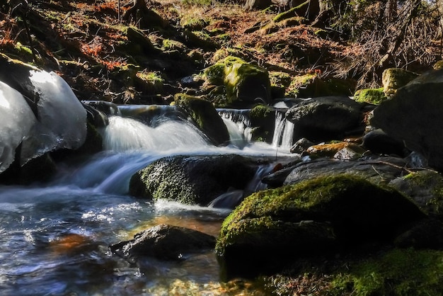 Amazing little waterfalls from a brook