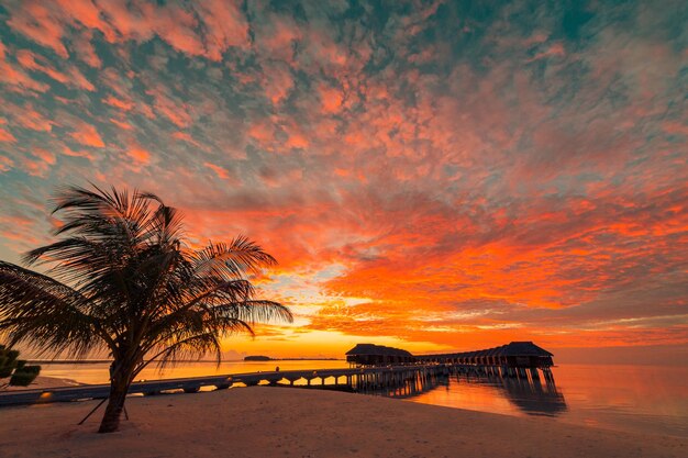 Amazing Maldives landscape with water villas and palm trees sea sunset sky dream vacation travel