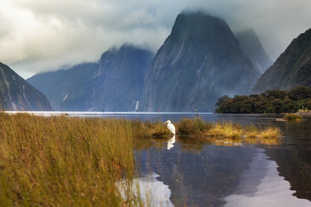 Amazing natural landscapes in Milford Sound, Fiordland National Park, New Zealand