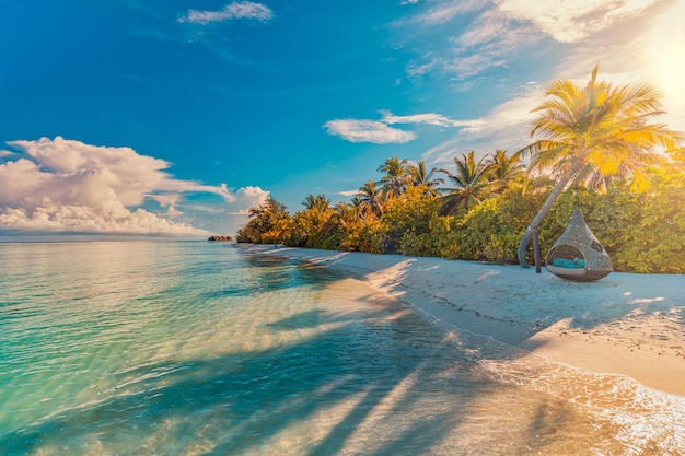 Amazing nature, pristine beach with palm trees sunset sky shadows. Summer vacation travel holiday