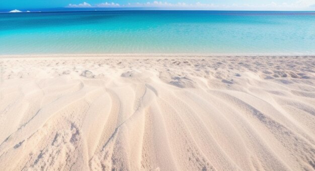 Amazing panorama Beach backgound Nature