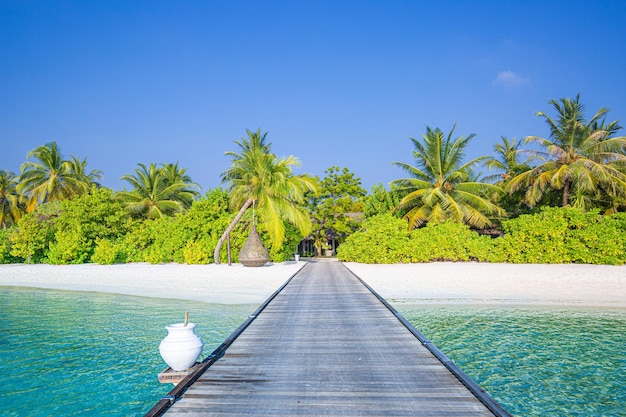 Amazing panorama landscape of Maldives beach Tropical beach landscape seascape luxury water villa resort wooden jetty Luxurious travel destination background for summer holiday and vacation concept