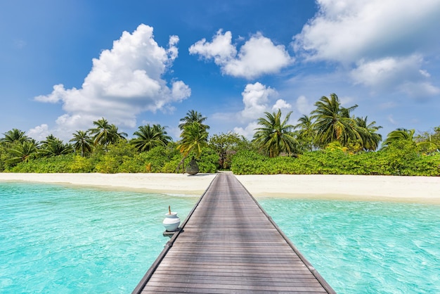 Amazing panorama at Maldives. Majestic tropical island pier seascape palm trees, white sandy shore