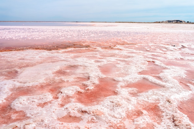 Photo amazing pink salt lake in the crimea a beautiful deserted landscape of a pink lake and a blue sky