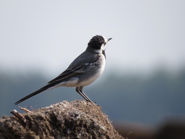 Amazing places and beautiful birds