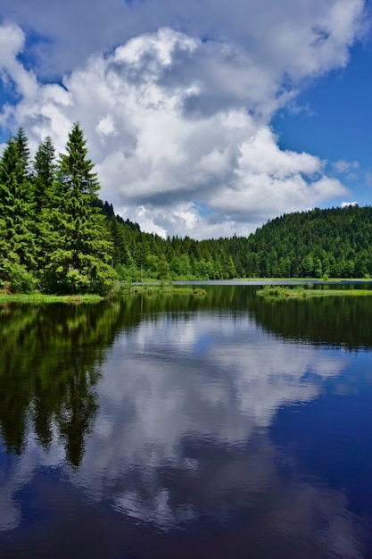 Amazing reflection on the lake at Lispach lake in the Vosges, France. Vertical picture.