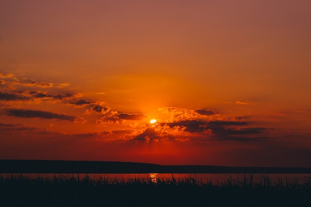 Amazing river bright sunset on the background of reeds nature landscape background