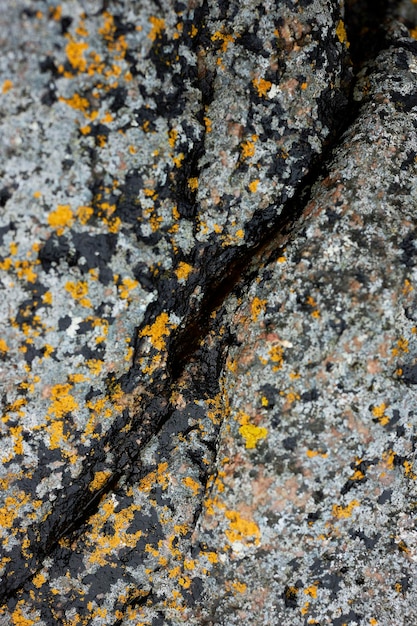 amazing rocks by the shore in danish island