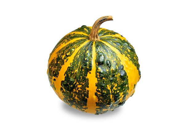 Amazing striped decorative green orange pumpkin isolated on white background