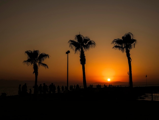 Amazing sunset on the beach in summer