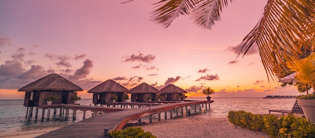 Amazing sunset panorama at Maldives. Luxury resort villas sea beach shore with palm leaves and pier