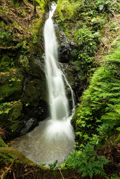 Amazing top view of a white veil waterfall surrounded by green vegetation.