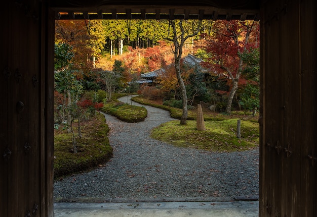 Amazing view of a Japanese garden in autumn, colorful leaves.